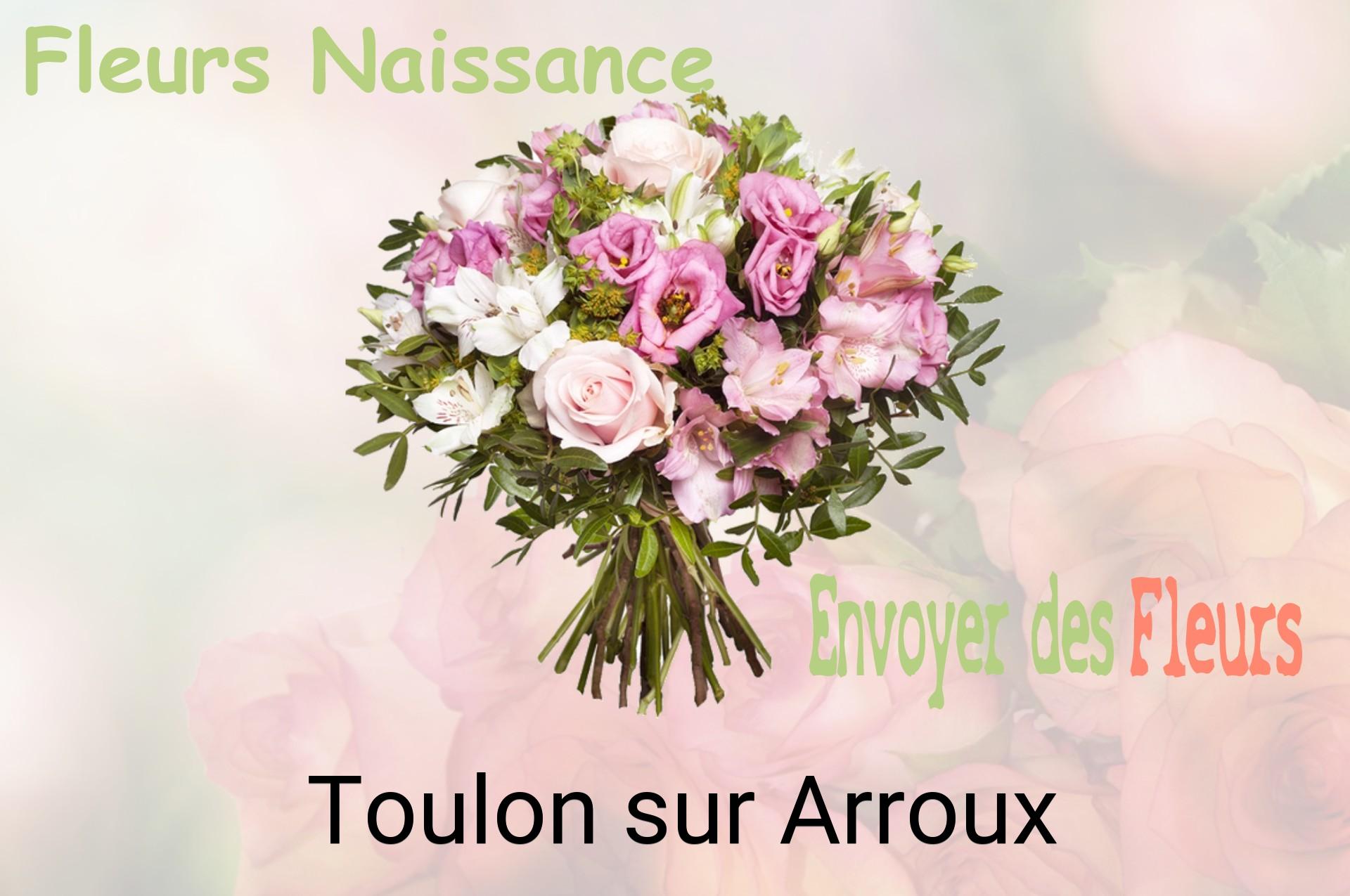 Bouquet de fleurs de naissance livré à Toulon-sur-Arroux